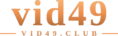 vid49 logo