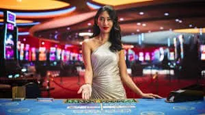vid49 Sportsbook Markets Offer